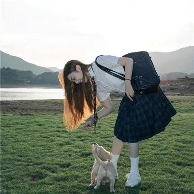 丛林有情狼